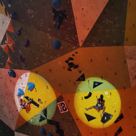 championnats de France d'escalade