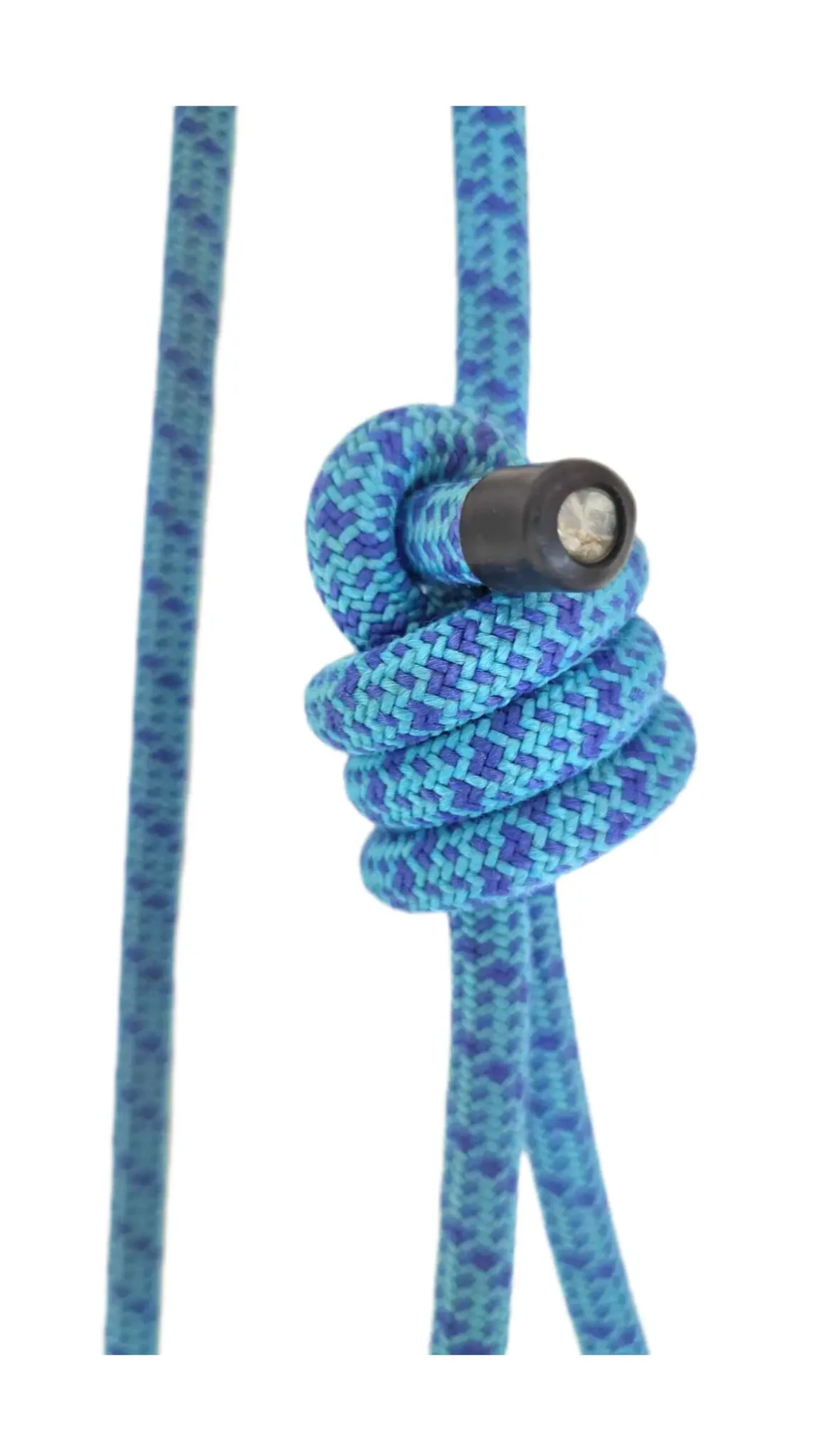 InShot_20260115_091749857