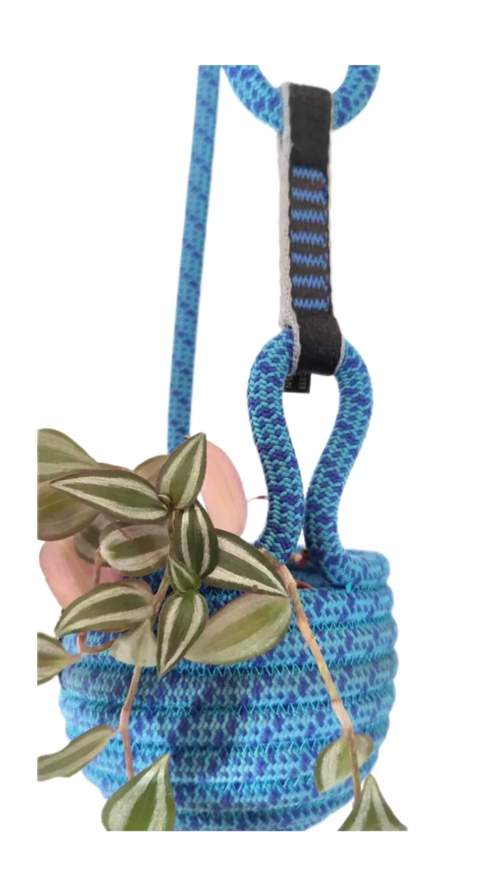 InShot_20260115_091841420