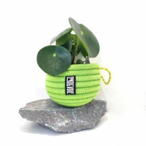 Corde sculptée "Usine Escalade"