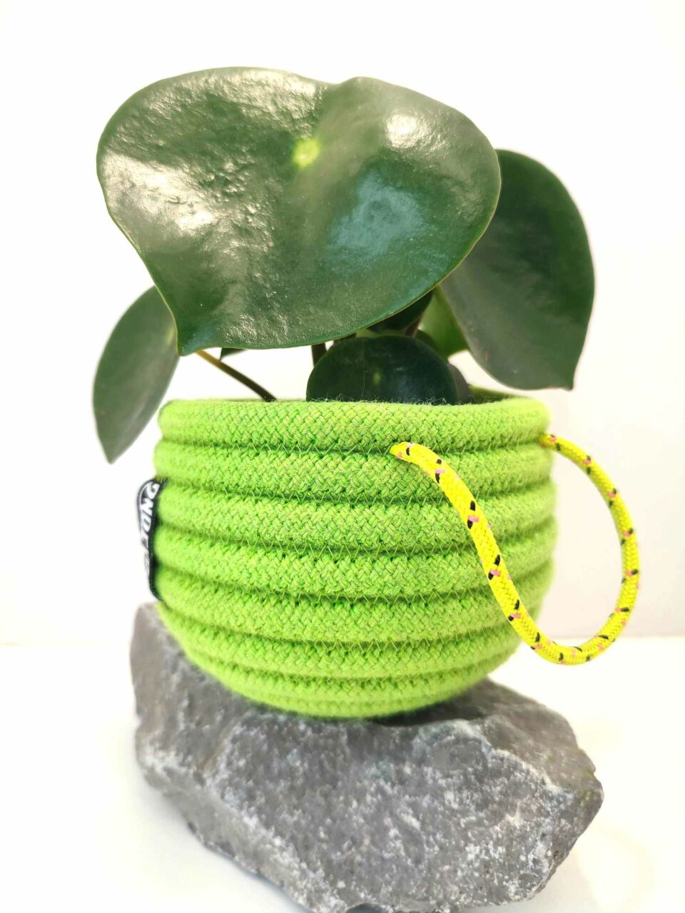 Recyclage de corde d'escalade