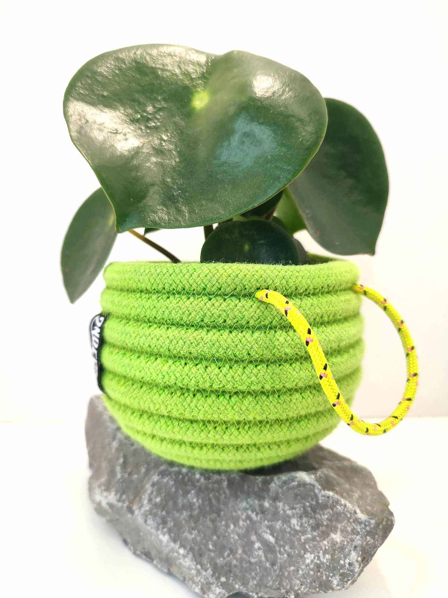 Recyclage de corde d'escalade