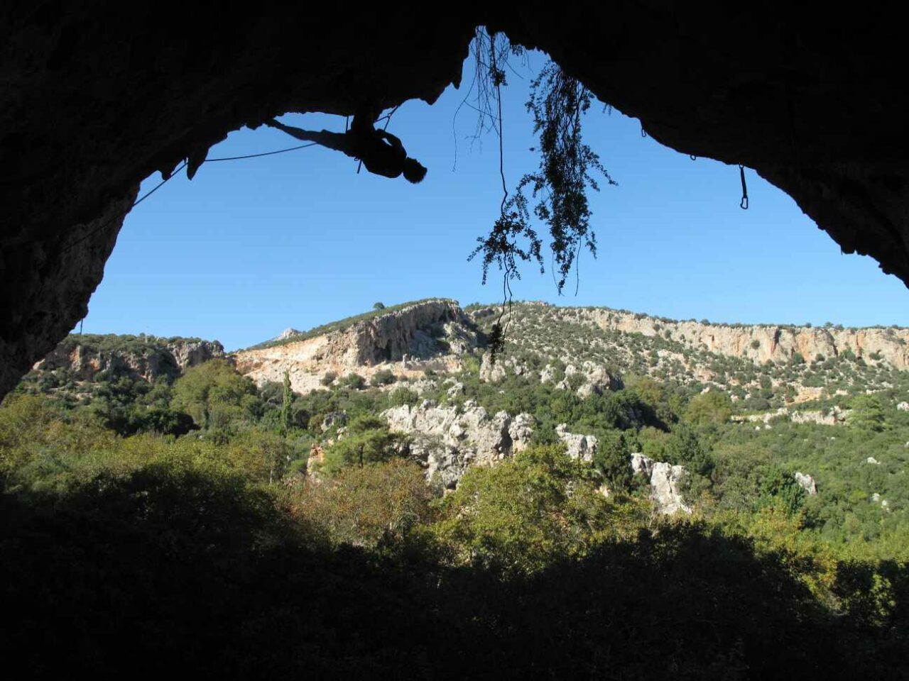 Rodellar